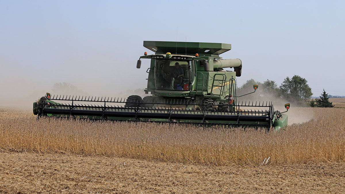 Terry Evans harvests