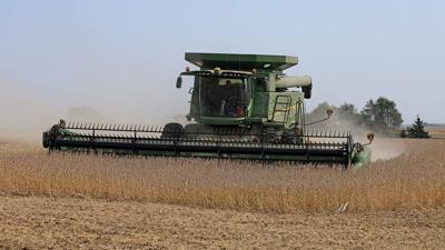 Terry Evans harvests