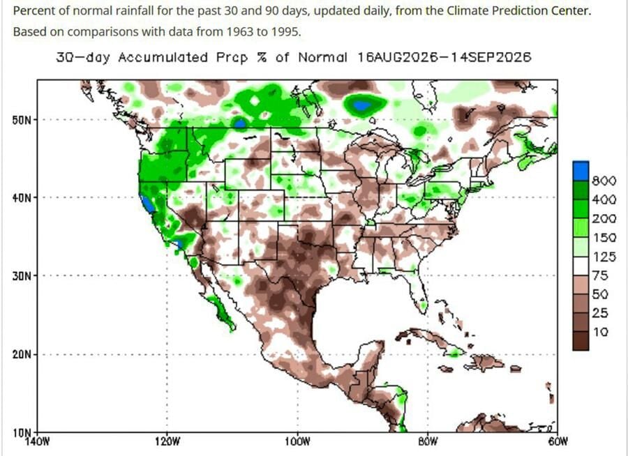 Rainfall