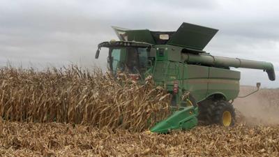 Mathew Buntin SE Illinois