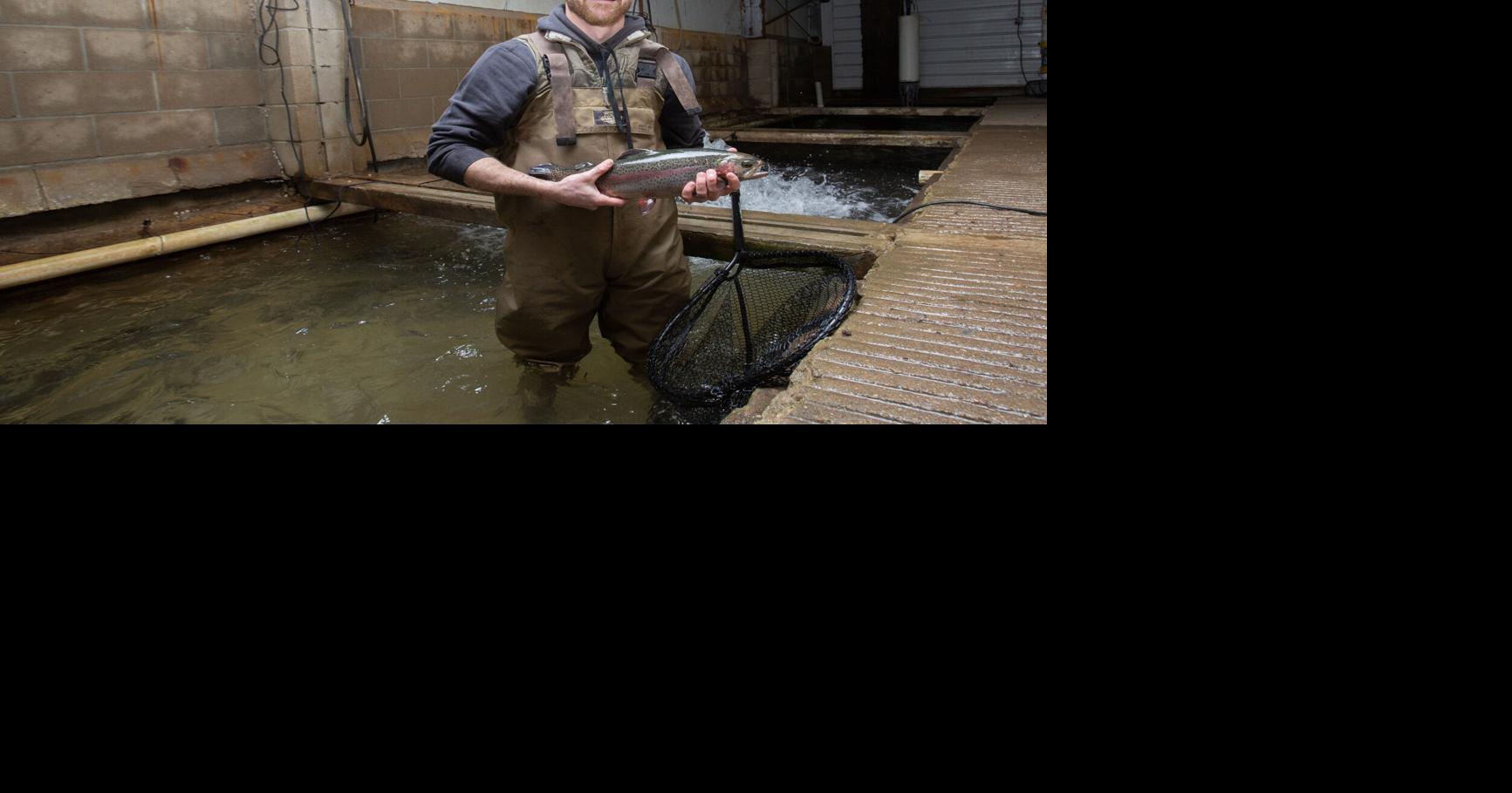Shrimp farming (1).jpg