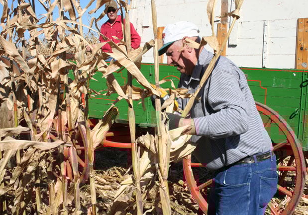 John Van Liere corn picking
