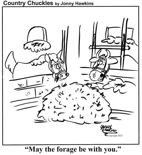 Country Chuckles by Jonny Hawkins