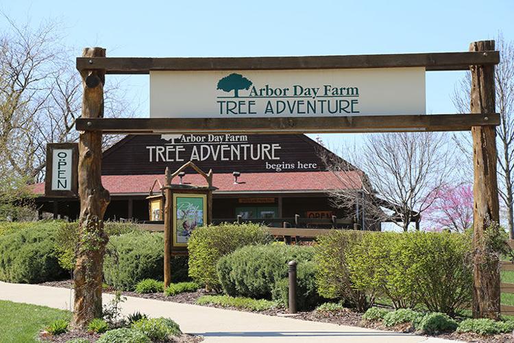 Tree Adventure