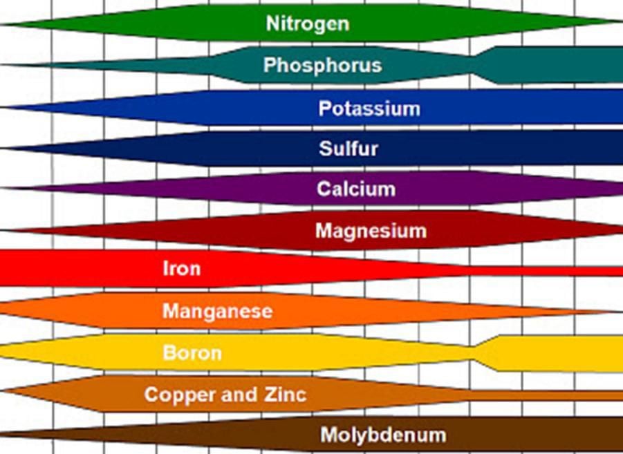 Ph Nutrients Chart