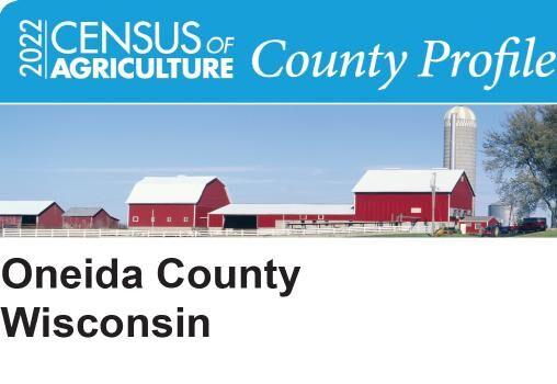 Consider County Census Collection Oneida County part 1