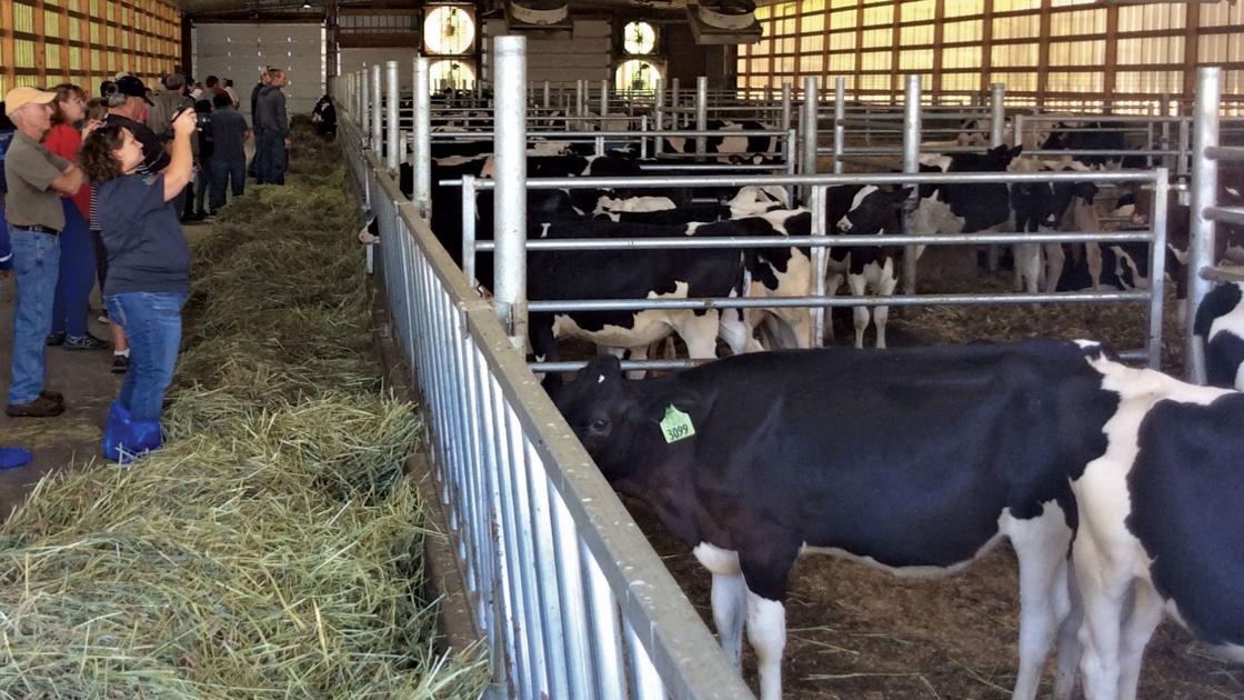 Three livestock operations open doors to expo attendees | Dairy ...