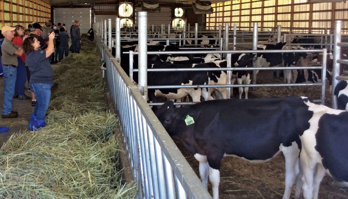 Three Livestock Operations Open Doors To Expo Attendees