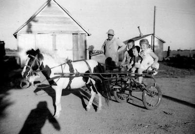 Looking back: Svoboda buggy ride