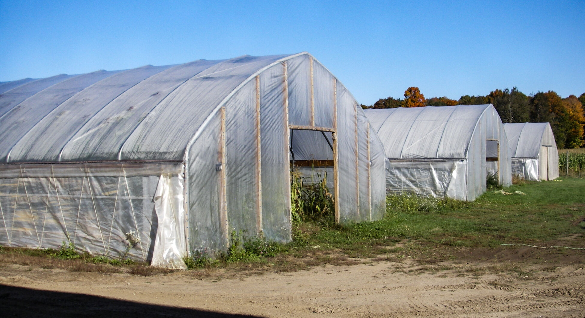 Greenhouses
