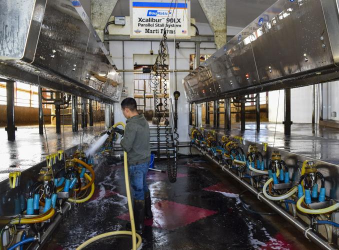 Cleaing between milkings in parlor
