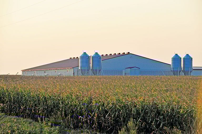 hog barn construction loan