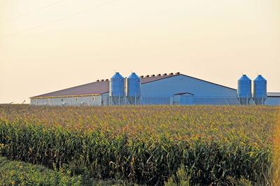 hog barn construction loan