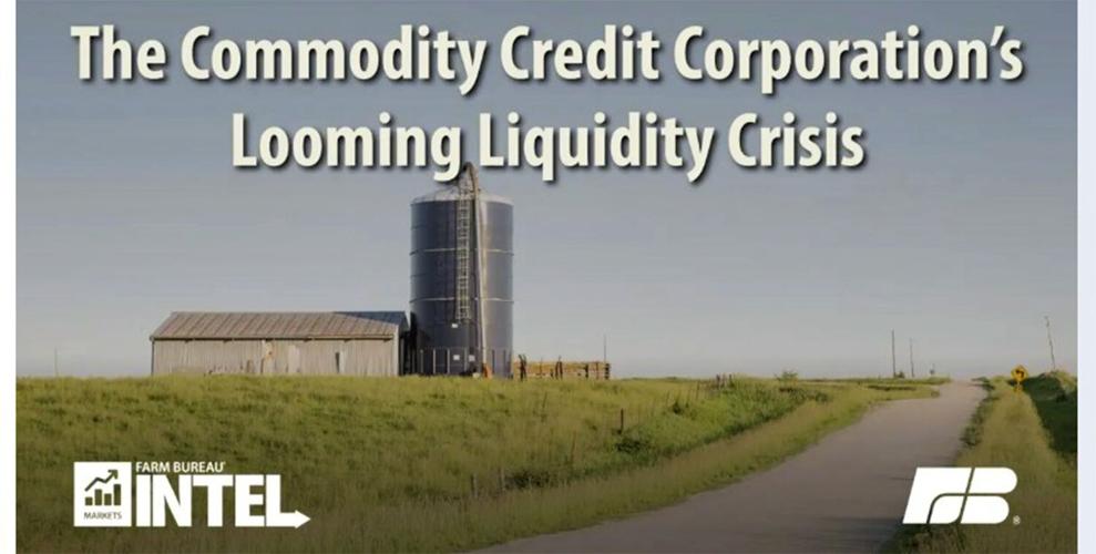 Liquidity crisis