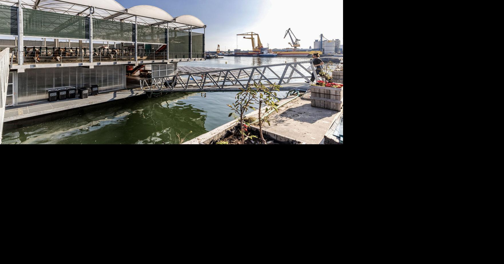 Floating farm sinks under bureaucracy