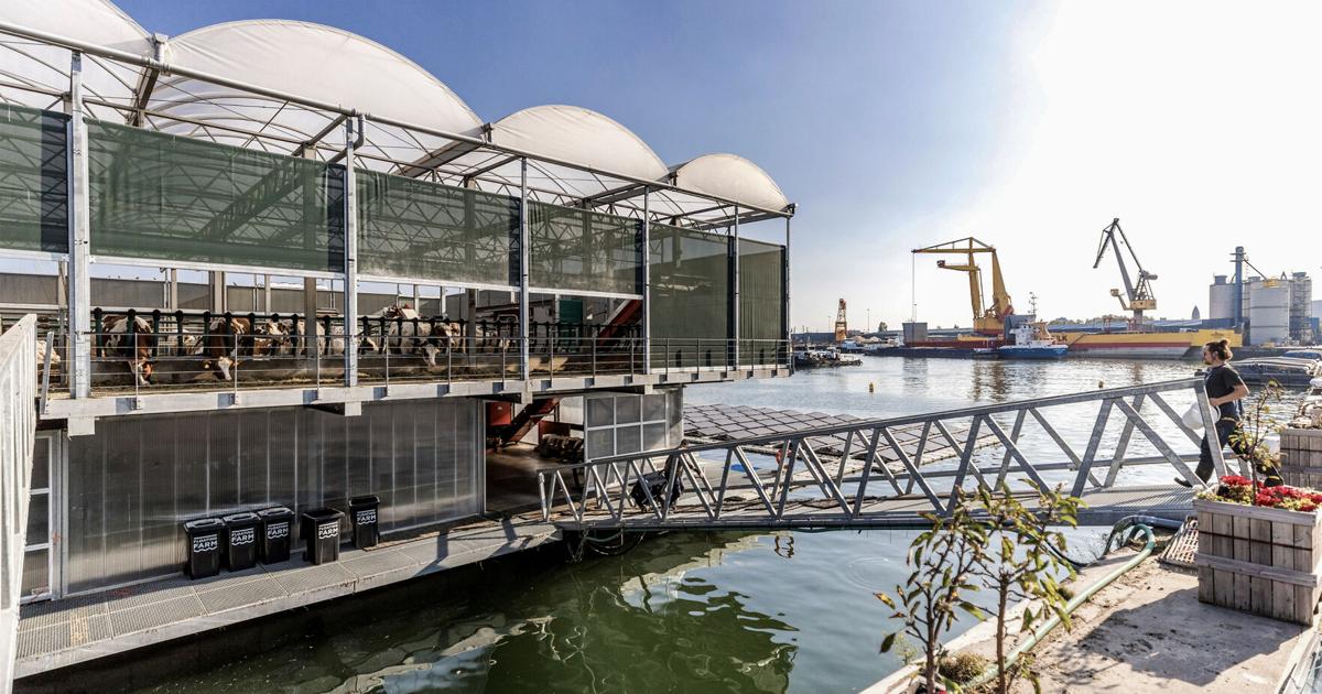 Floating farm sinks under bureaucracy