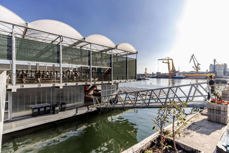 Floating farm