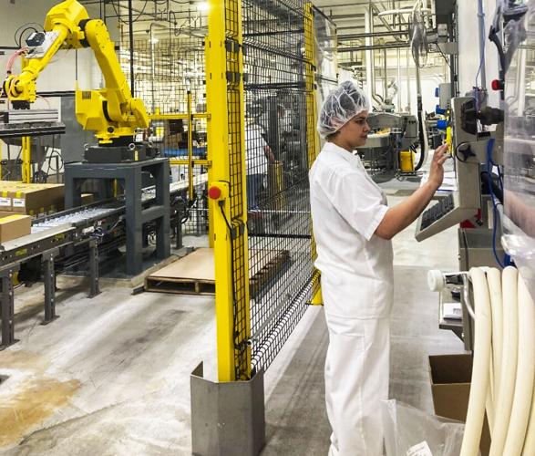 Technician in dairy-processing plant