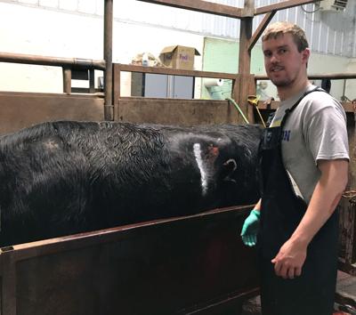C-section