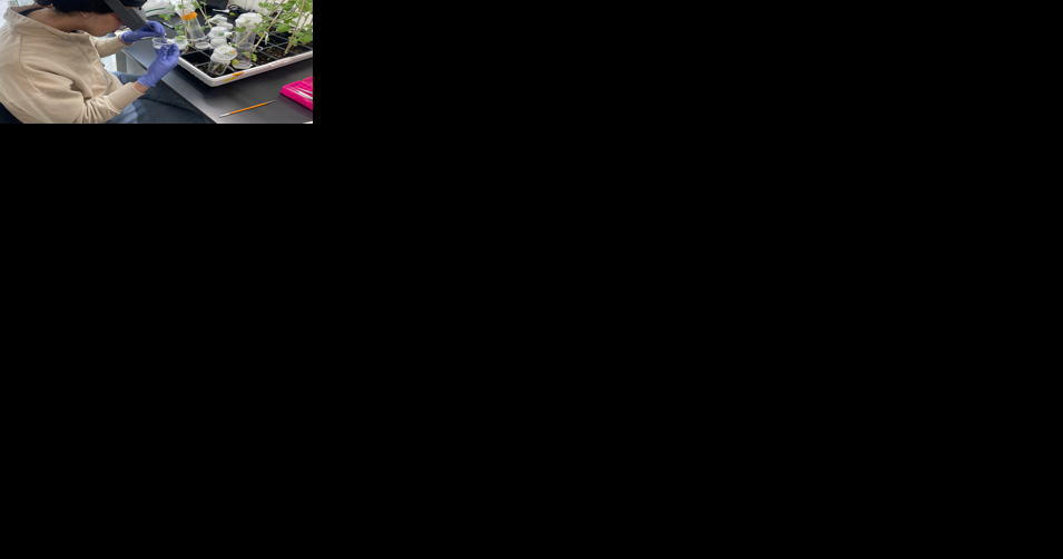 Management practices can enhance soil microbiome functions in plant defense