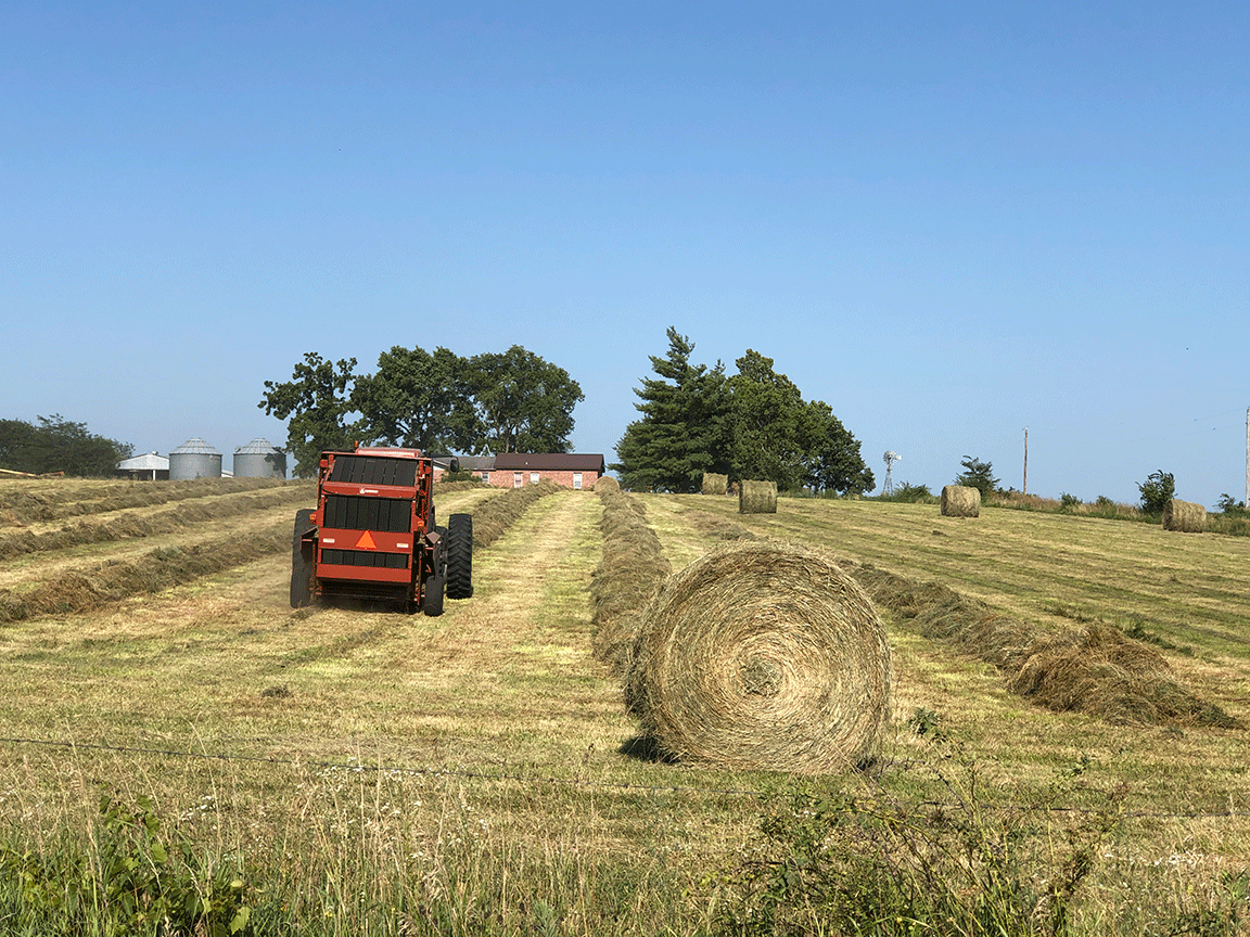 hay field