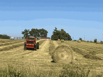 hay field