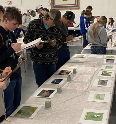 Hayes Center FFA 2.jpg