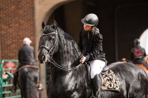 Friesians: Beautiful horses with an abundance of hair and the look of a draft