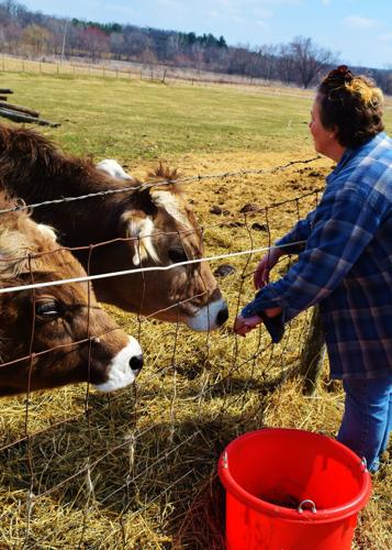 Betty Anderson feeding cattle