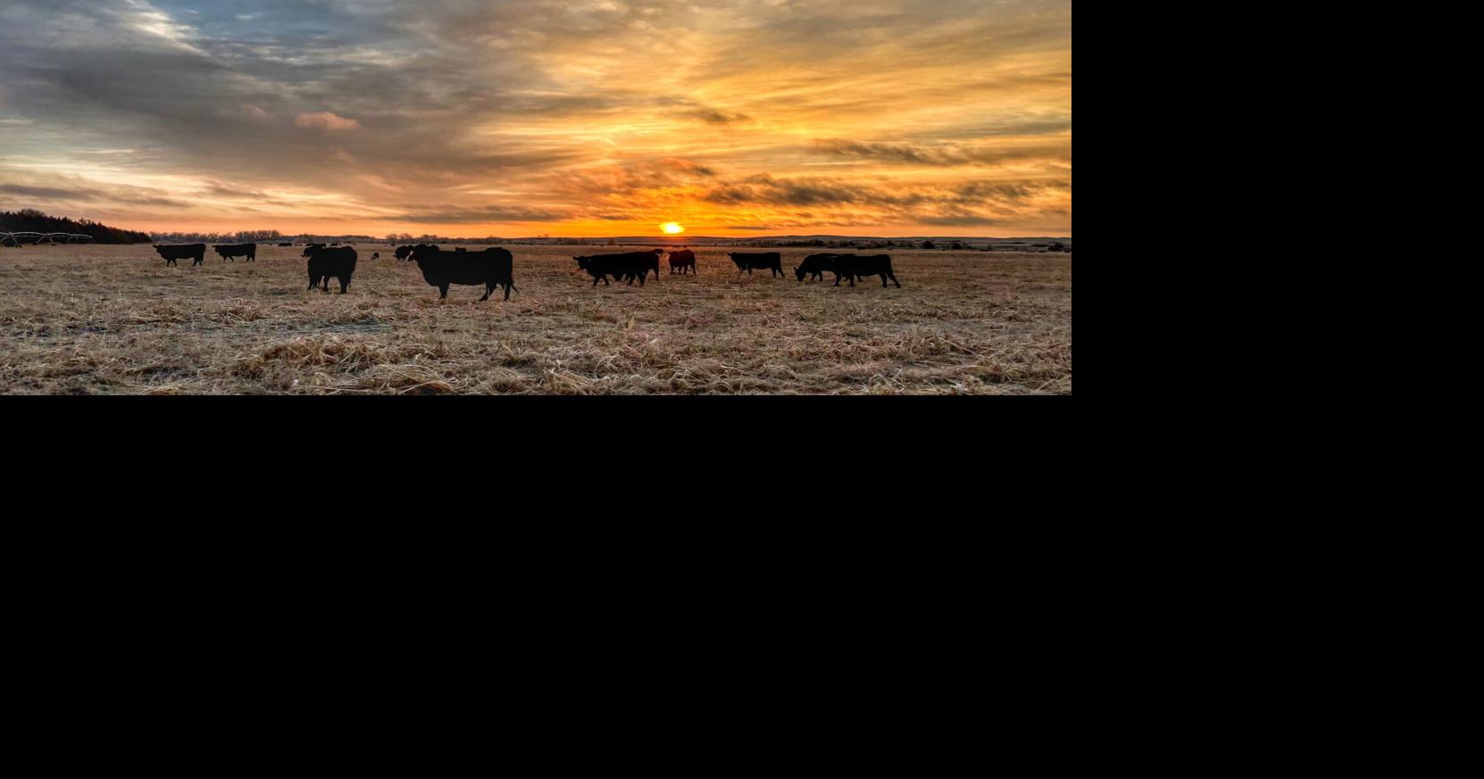 Thankful for the sunrises in this busy time of year