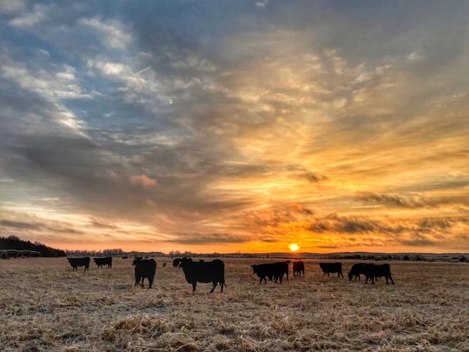 Sandhills Sunrise (5).jpeg