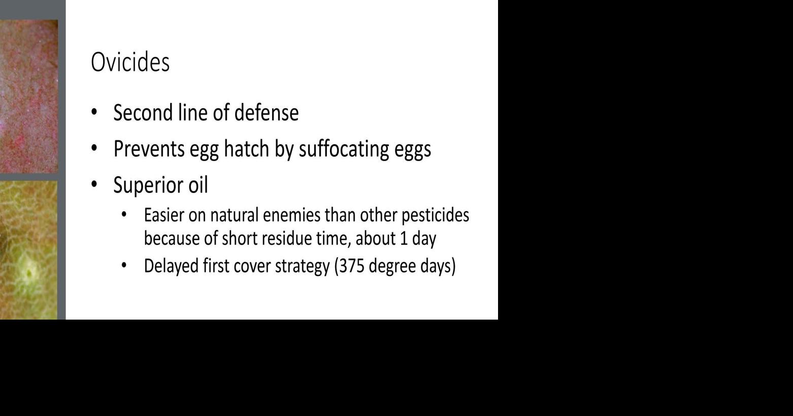 Ovicides