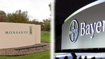 Bayer Monsanto