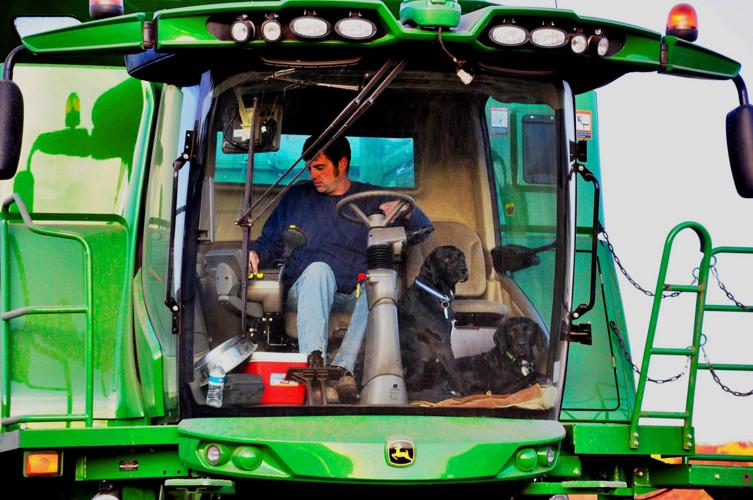 Mike Prochnow in combine cab
