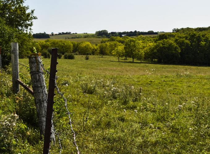Pasture at Dreamy 280