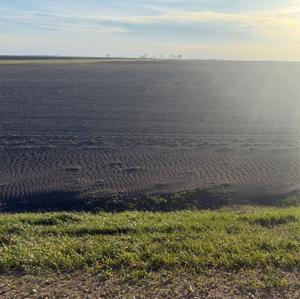 Ditches