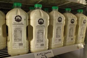 Amo Creamery (8).JPG