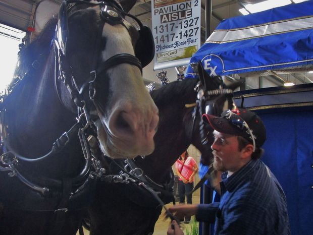 midwest horse fair 2015