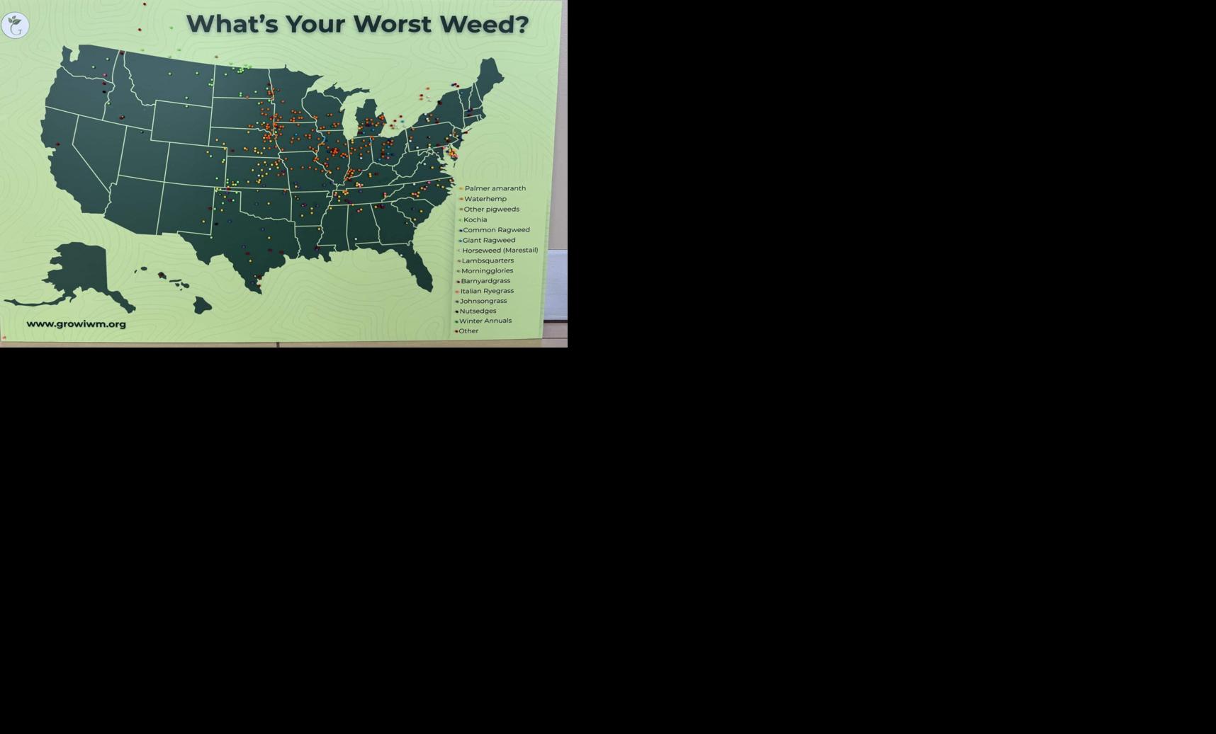 Worst Weed Map