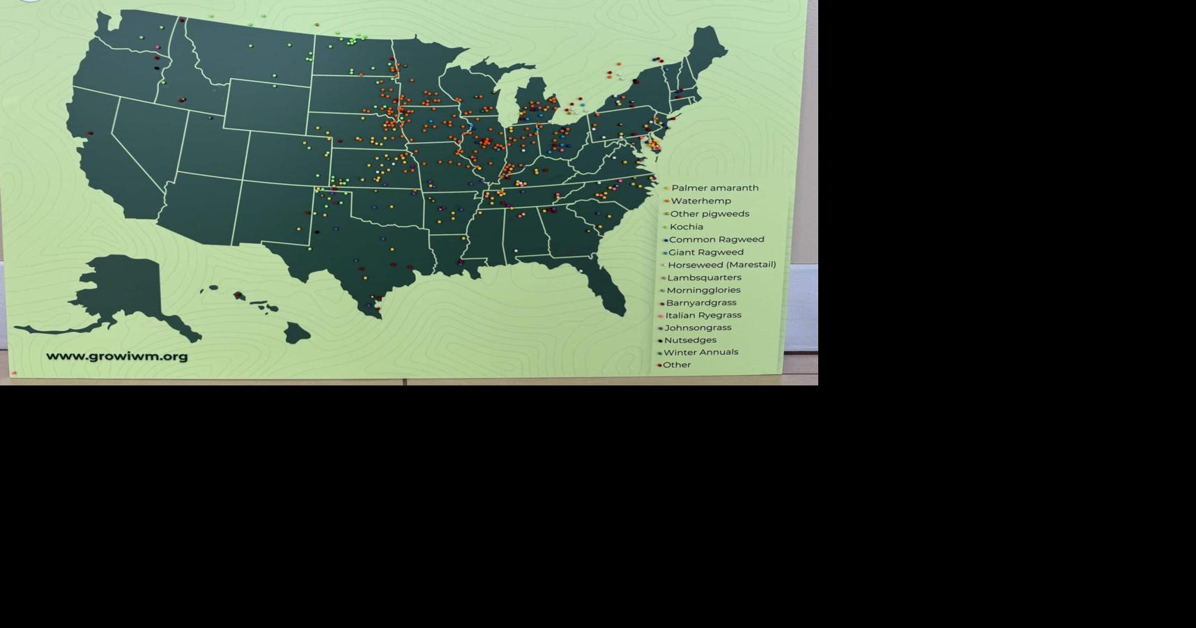 Farmers crown 'worst weed'