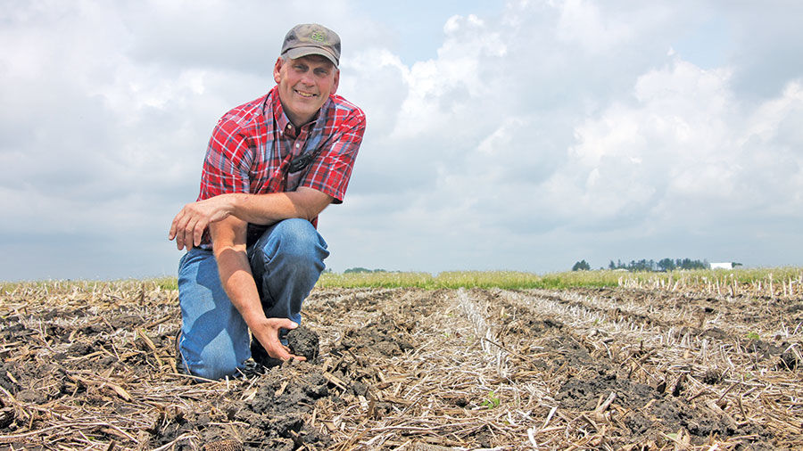 Dean Sponheim strip tillage field