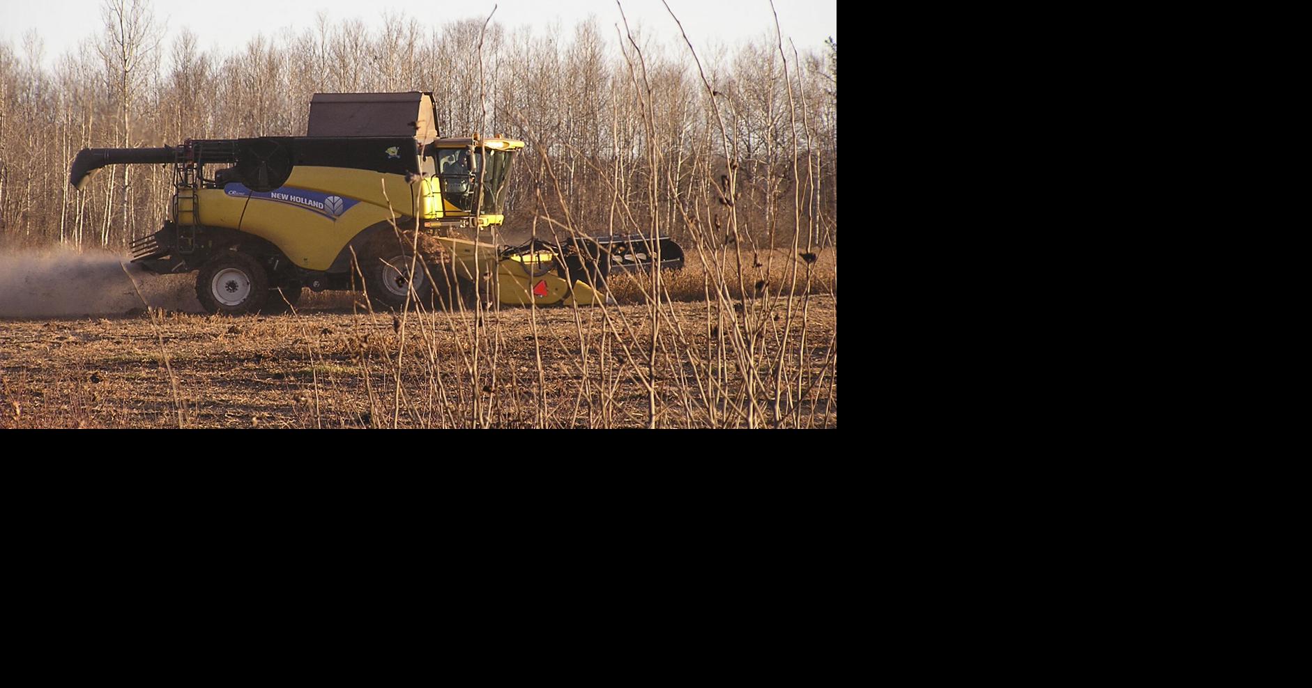 Record-large crops affect markets