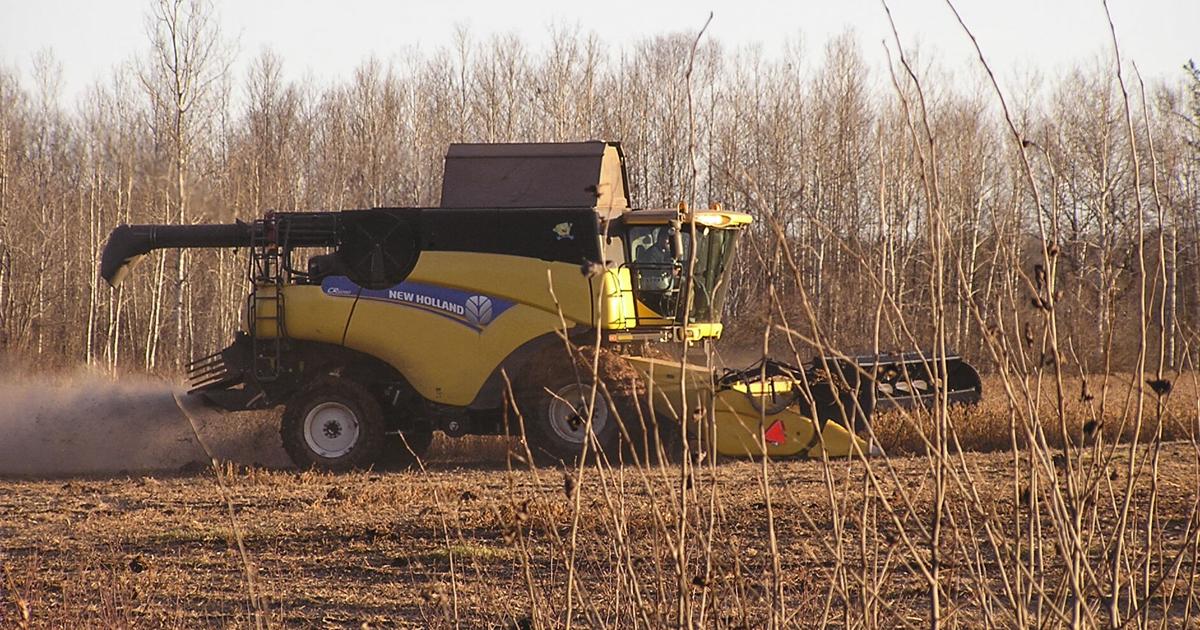 Record-large crops affect markets