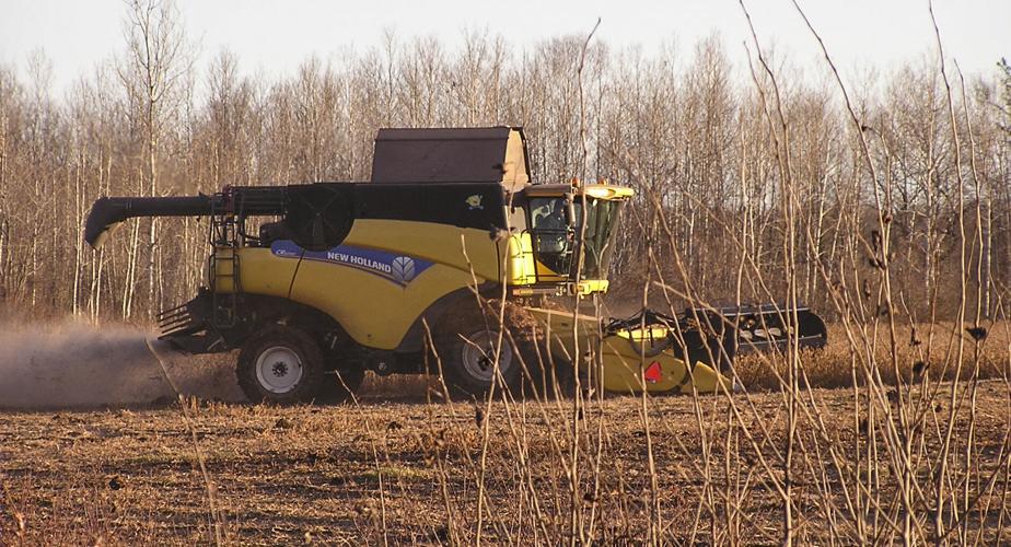 Soybean harvest