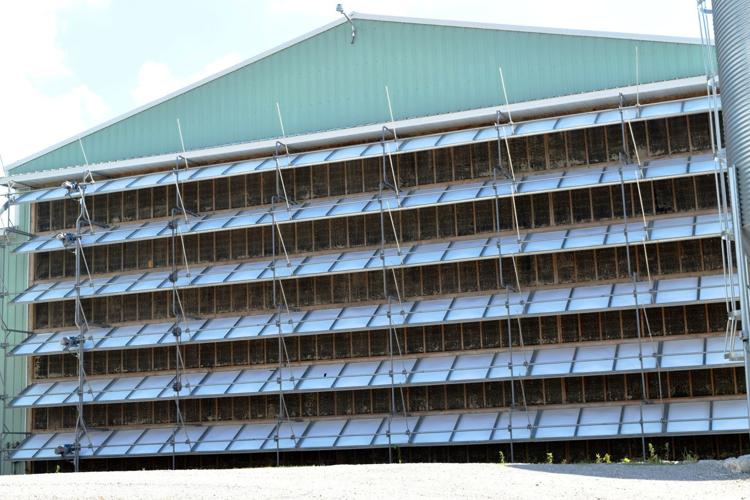 Building 5 at Nature Link