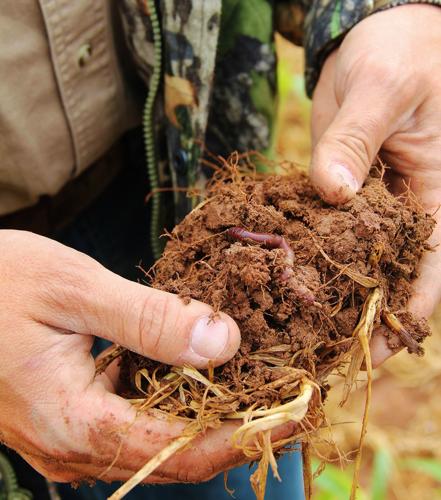 Soil health
