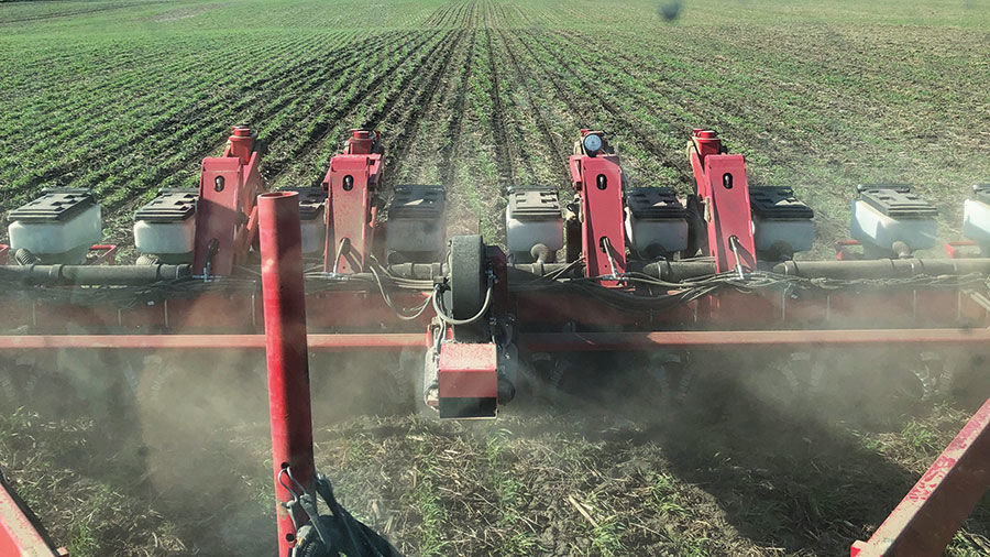 Chad Bell planted strip till corn into rye