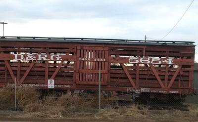 Getting cattle from the trains
