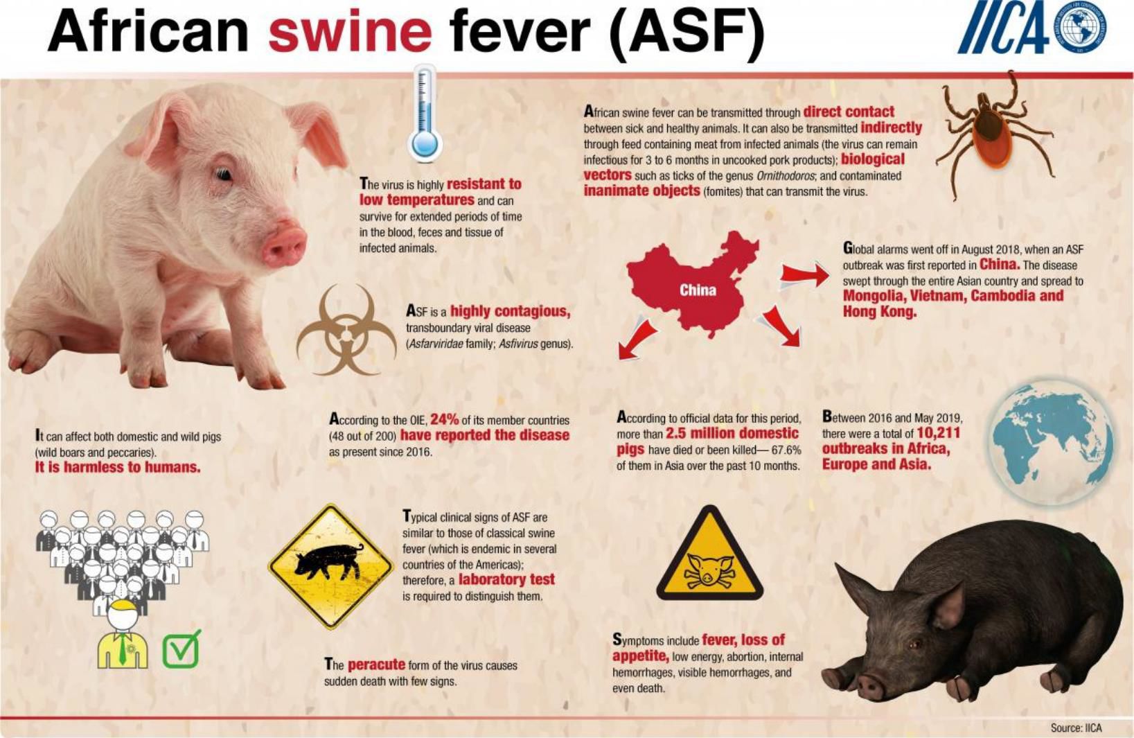 African Swine Fever Spreads