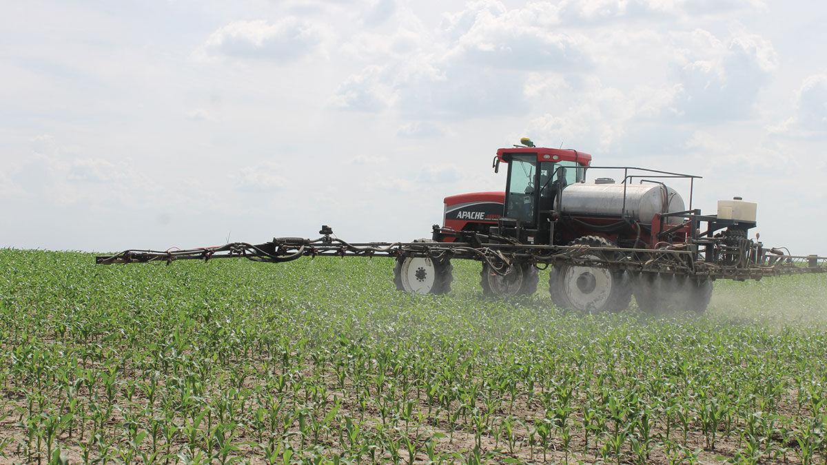 Spraying